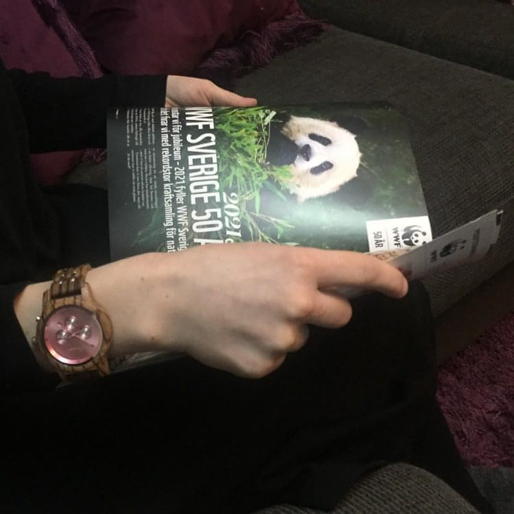 Träklocka rosea på armen. Sanna läser tidning. världsnaturfonden